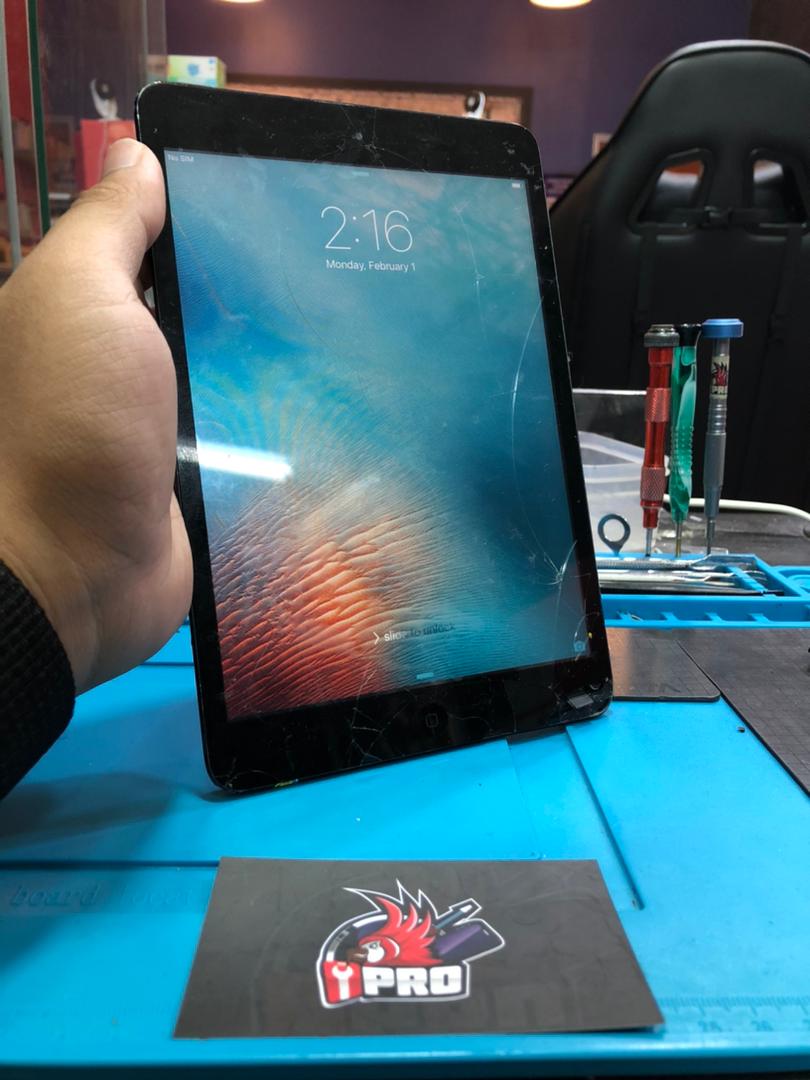 iPad Mini 1 Screen Crack 30 Days Warranty Repair At iPro Ampang
