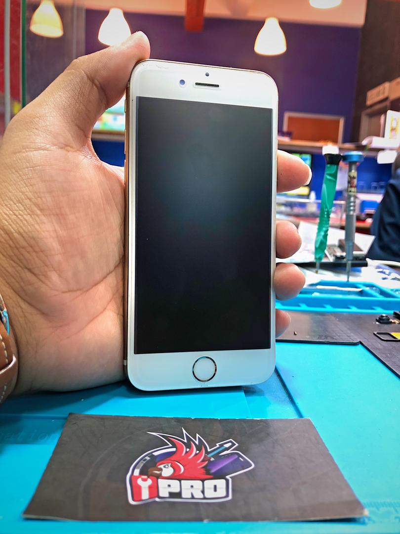 iPhone 6s Screen Blank Repair In Ampang