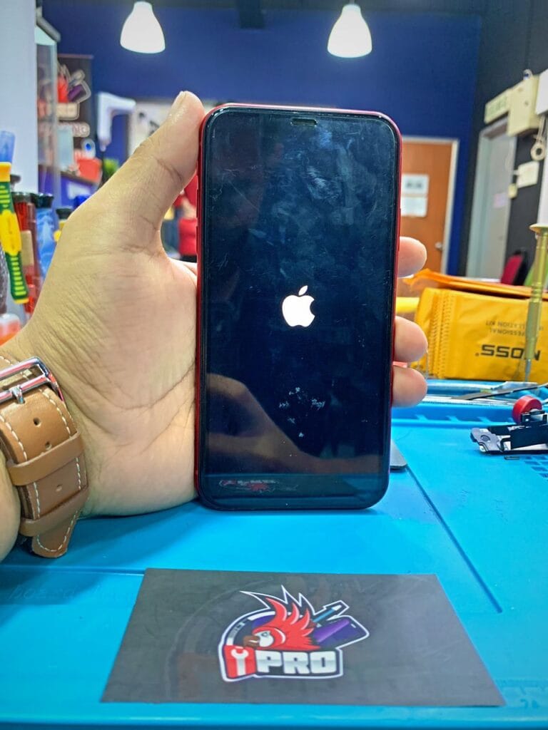 Repair iPhone Xr Stuck Apple Logo In KL