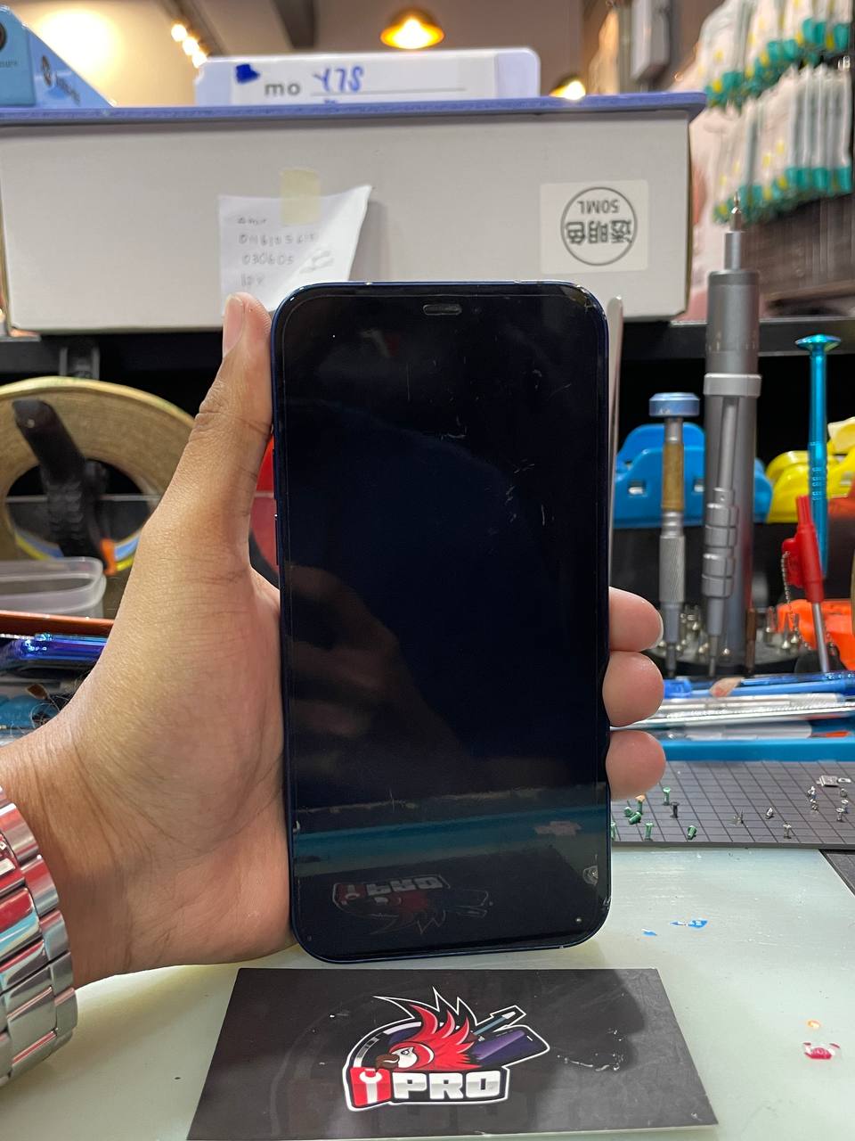 Repair iPhone Screen Blank Cannot On In Kl