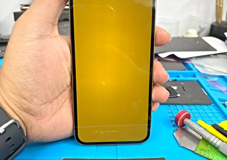 iPhone 13 Pro WSOD Repair in Kuala Lumpur