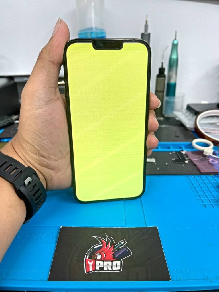 Before repair iphone green screen