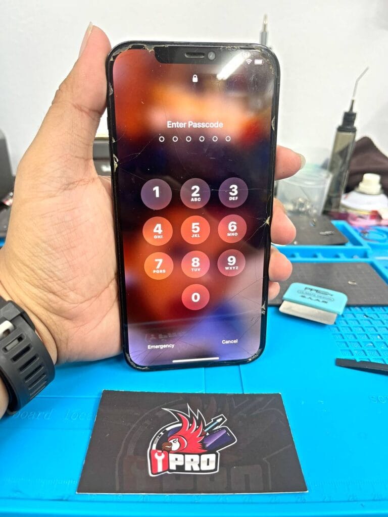 After restore iPhone cannot on 