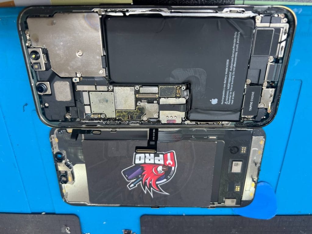 iPhone water damage condition